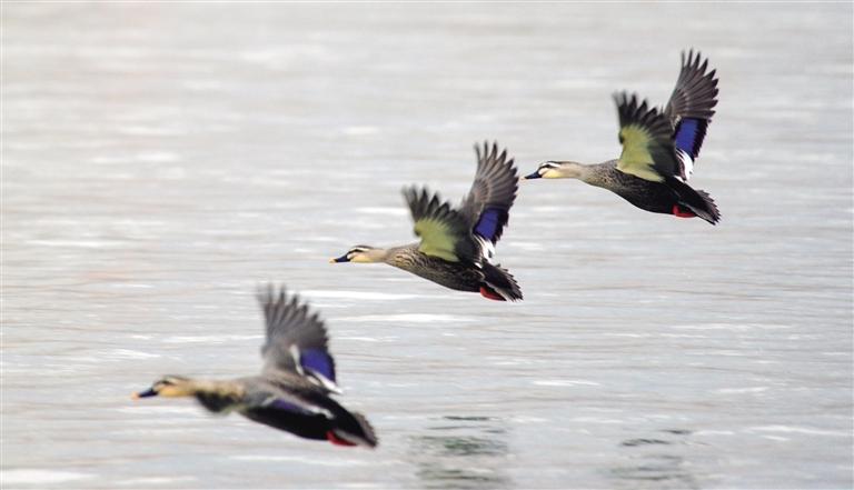 截至12月10日 今年兰州市空气