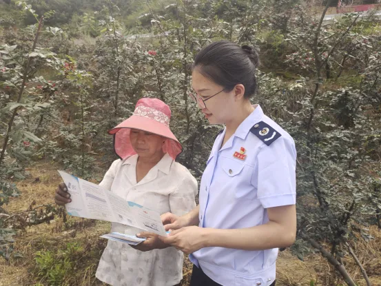 天水：税惠春风拂乡村 精细服务助