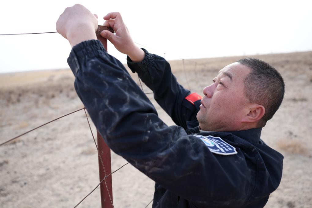 新春走基层·图片故事丨守护野马家园