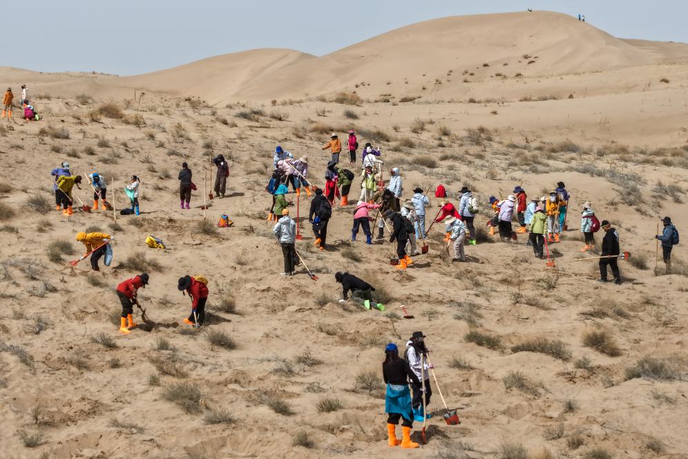 跨越山海种树护绿