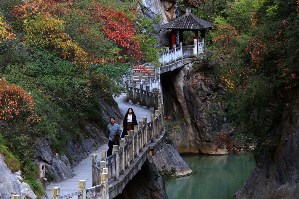 美丽中国丨秋染西狭颂 峡谷入画来