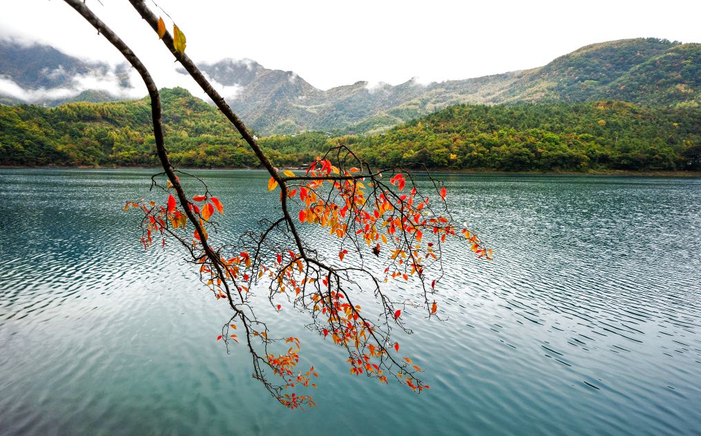 美丽中国｜甘肃文县天池：层林染秋 湖山相映