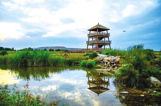 兰州市花鸟宠物市场大全 (兰州市花鸟宠物市场)