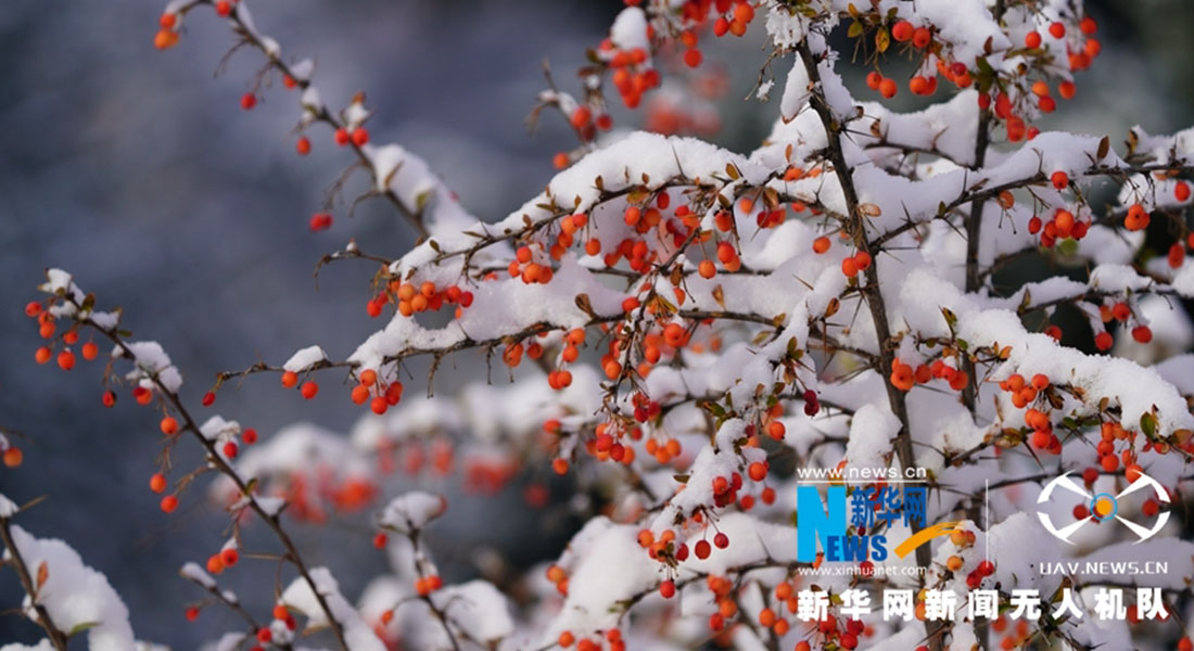 【“飛閱”中國】秋雪“驚艷”馬蹄寺