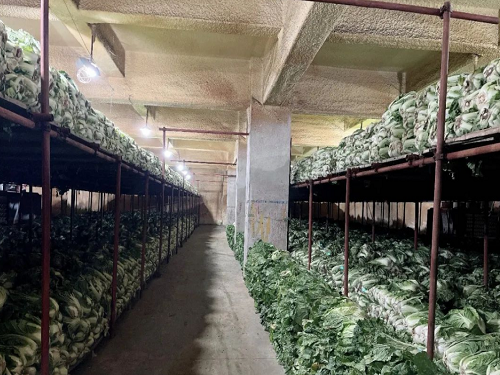 兰州市政府1.5万吨冬春储备蔬菜全部入库
