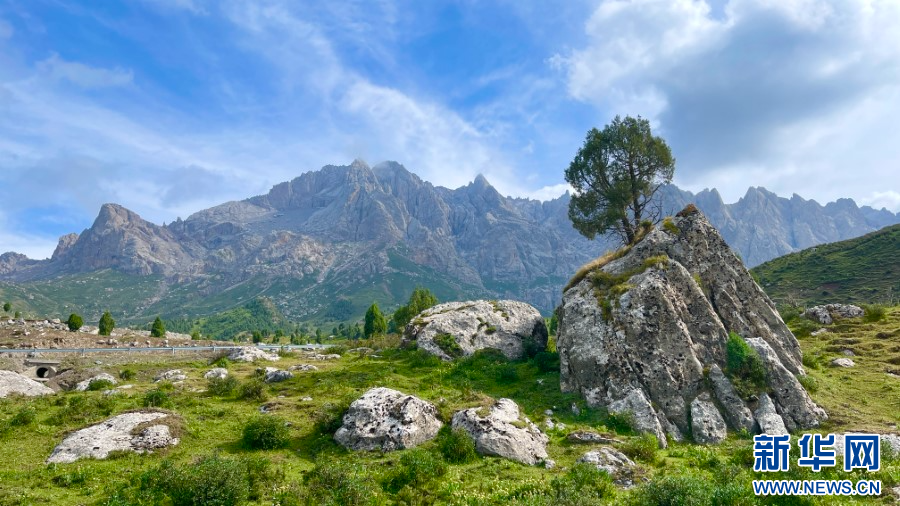 【&ldquo;寻雪豹 瞰陇原&rdquo;日志】入祁连寻豹踪