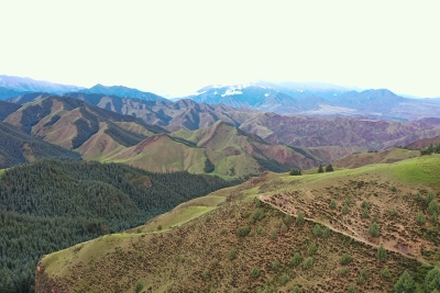 【&ldquo;寻雪豹 瞰陇原&rdquo;日志】高山之巅寻觅&ldquo;雪山之王&rdquo;