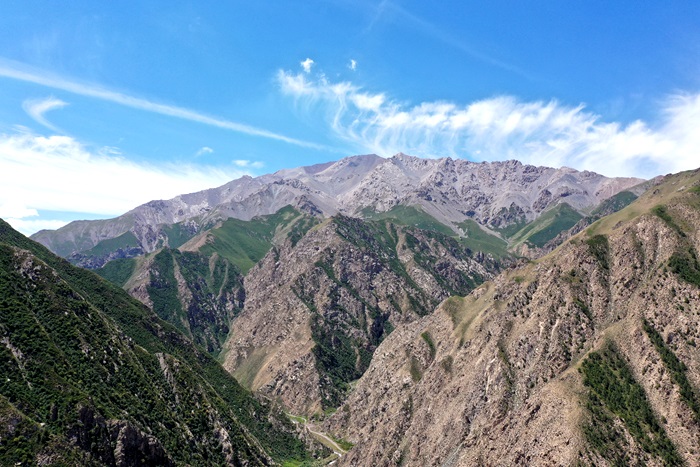 【&ldquo;寻雪豹瞰陇原&rdquo;日志】雪豹寻踪