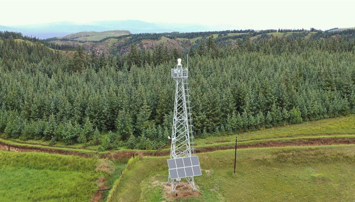 祁连山生态环境如何？科技护航，眼见为实