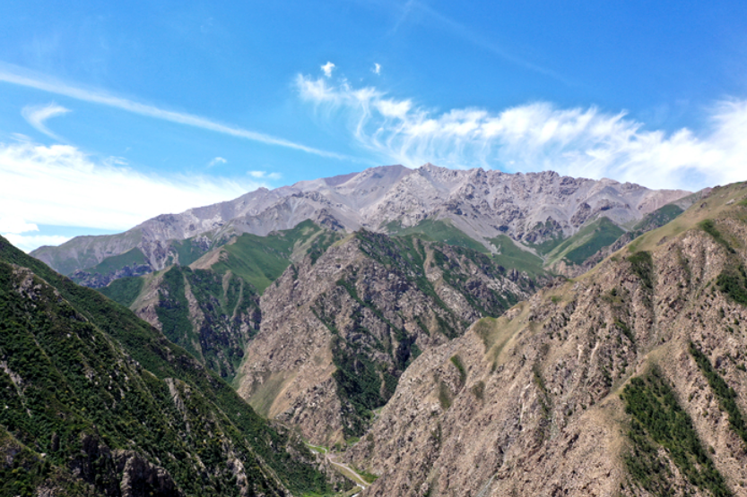 【&ldquo;寻雪豹瞰陇原&rdquo;日志】雪豹寻踪