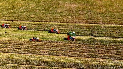 甘肃张掖：机械化助力百万亩制种玉米种植升级