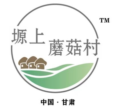 塬上蘑菇村