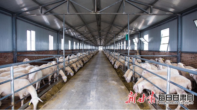 玉林玉州区推进民生改善 绘就美好生活高地画卷